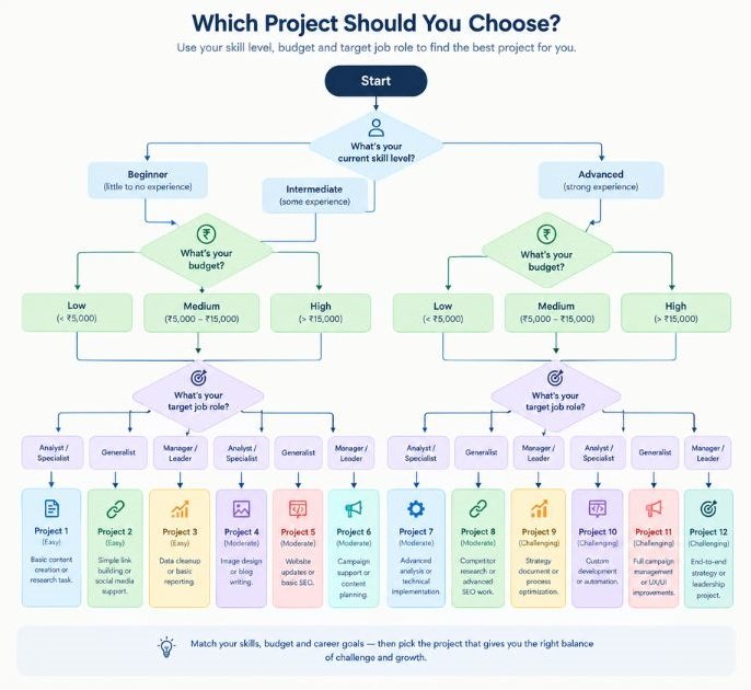 Decision flowchart: choose a project based on skill, budget, and target job role